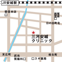 アクセスマップ